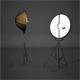 Pallucco Fortuny Moda - 3DOcean Item for Sale