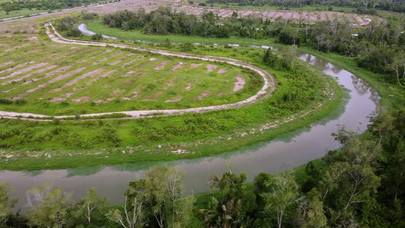 Aerial view cultivated plantation land