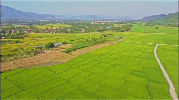 Aerial Moving Over Rice Fields Near Roads Against Village