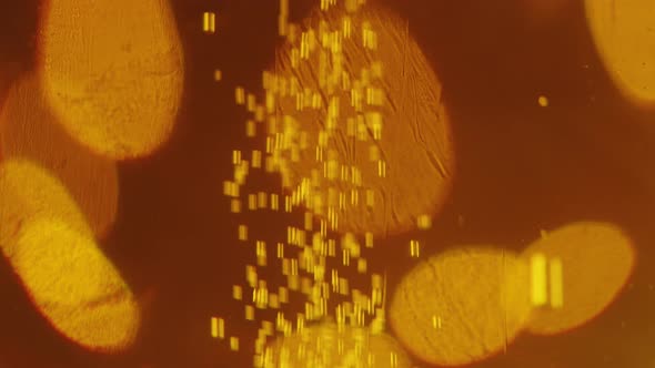 Foamy Beer in Glass Closeup Texture