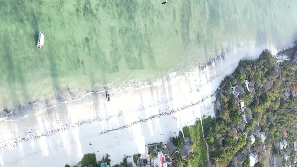 Vertical Video of the Beach on Zanzibar Island Tanzania Aerial View