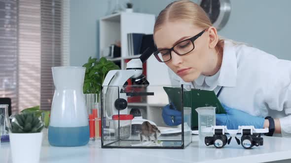 Female Research Scientist Learning Animal Behavior During the Experiment