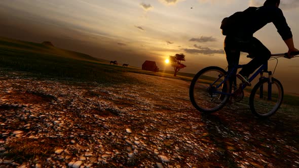 Bicycle Touring in Nature at Sunset alt