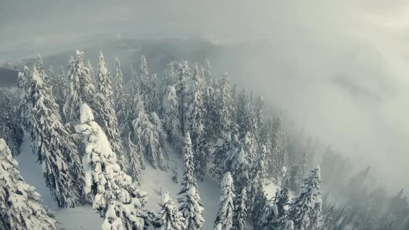 Moody Lowland Fog Clouds Aerial Above Snowy Mountain Forest Trees alt