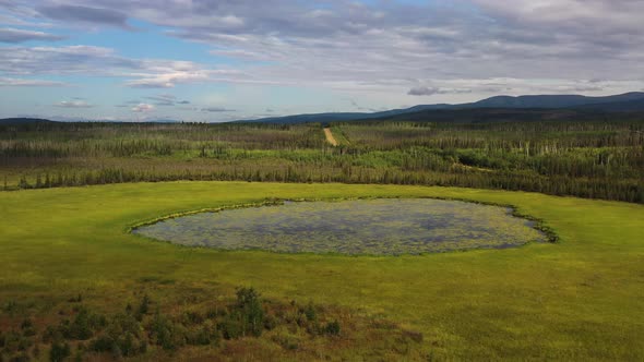 Alaska nature - Aerial orbiting around mossy swamp with a small pond in the middle of spruce dense