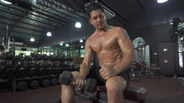 Portrait of strong caucasian man lifting dumbbells, doing exercise, working out, and training