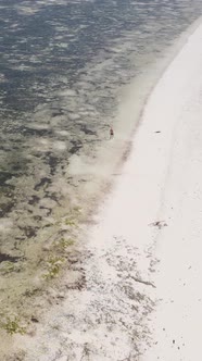 Vertical Video of a Coastal Landscape in Zanzibar Tanzania