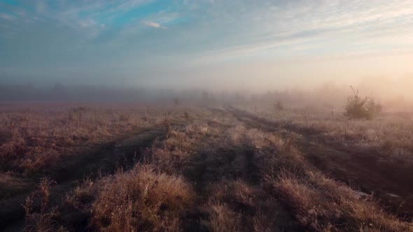 Cool foggy morning on the valley