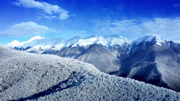 Aerial Drone  View Of  Winter Forest Mountain