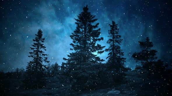 Dark Blue Winter Night Backgrounds alt