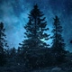 Dark Blue Winter Night Backgrounds - VideoHive Item for Sale