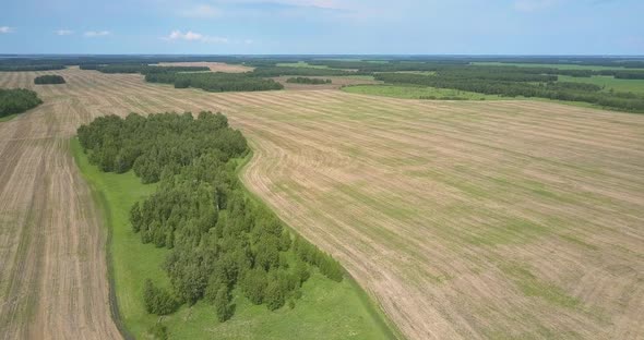 Aerial Countryscape with Groves Harvested Fields and Forests