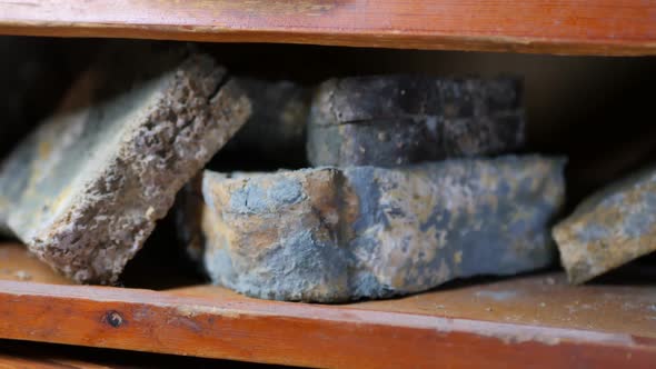 Bread Covered with a Green Layer of Mold