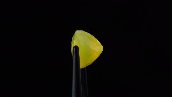 Natural Yellow Fire Opal Gemstone in the Tweezer on the Background