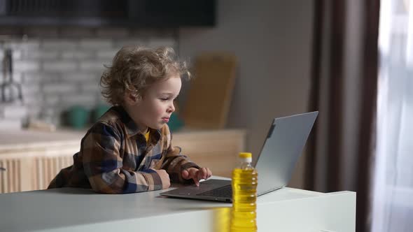 Child Boy with Laptop on Kitchen Toddler is Using Internet for Entertainment and Education Medium