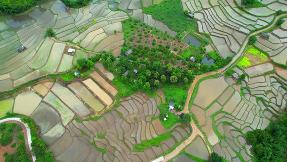 An aerial view over the beautiful rice terraces