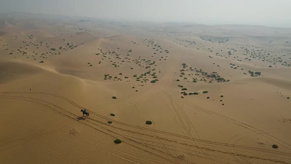 Aerial view of one person riding horse in the desert of Al Khatim in Abu Dhabi.