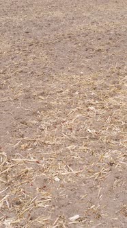 Vertical Video of a Field with Plowed Land in Autumn Slow Motion