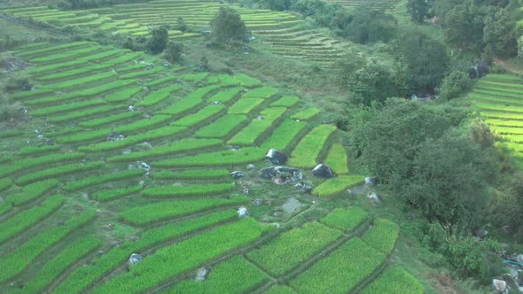 Aerial View of Nang Lae Nai Rice Terraces in Chiang Rai Chiang Mai Province Thailand