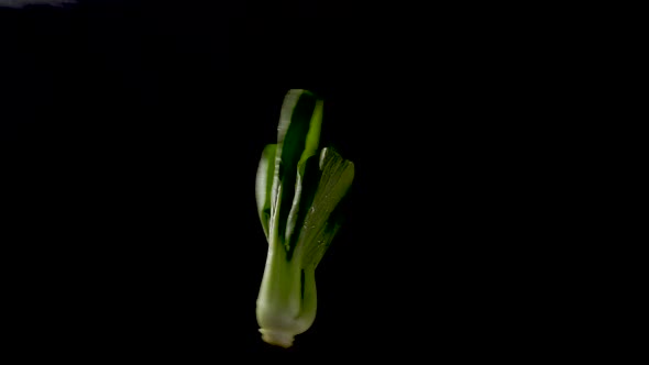 Creative food art. Bok choi suspended on black background, twists and turns. Part of series.