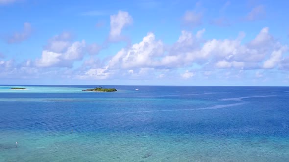 Aerial drone landscape of marine coastline beach wildlife by blue lagoon with sand background