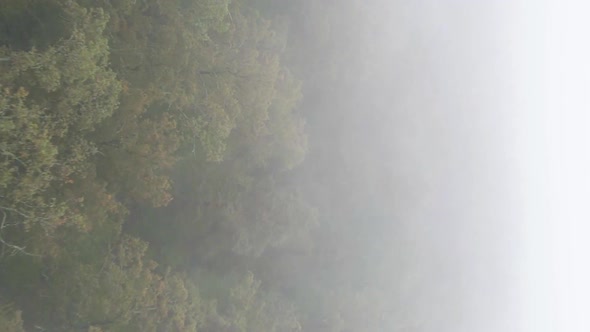 Vertical Video Fog in the Forest Aerial View