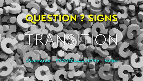 Questions Transition White | UHD | prores4444+alpha | 60fps alt