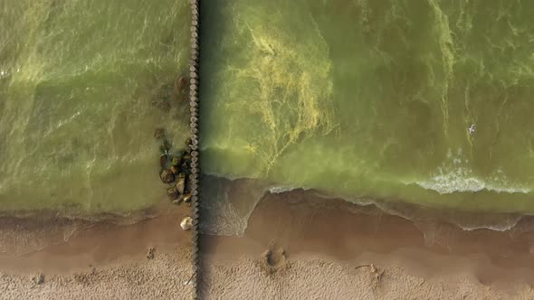 Yellow coniferous pollen in the Baltic Sea, view from a drone