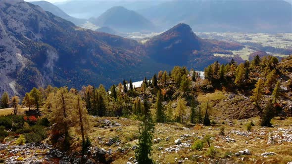 Beautiful Autumn Landscape in the Mountains