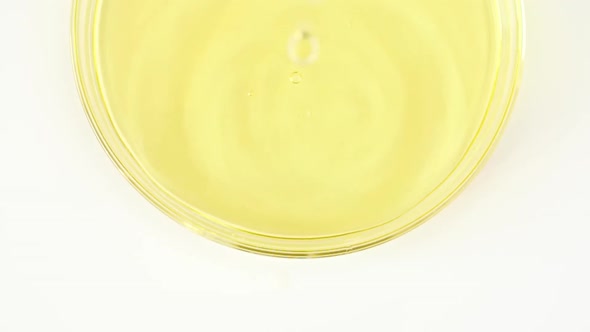 Transparent Yellow Cosmetic Liquid Dripping in a Glass Bowl of Petri