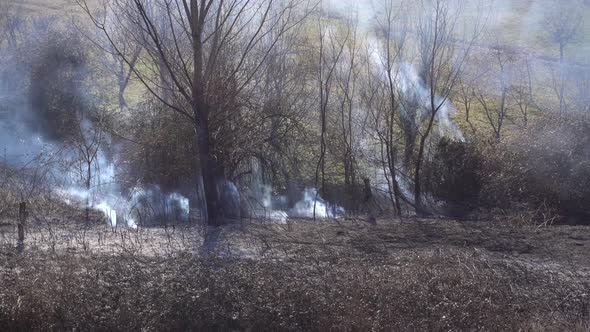 Smoke From Burnt Trees and Bushes in the Mountains of Montenegro