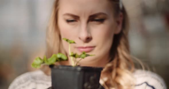 Female Gardener Examining Plants at Greenhouse