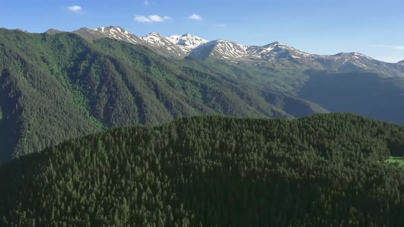 Aerial Shot of Mountain Ranges Covered with Pine Forests