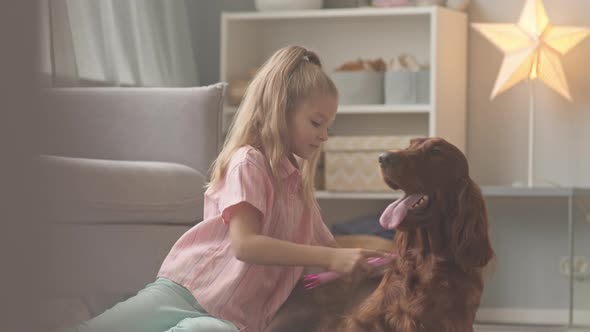 Girl Combing Dogs Hair