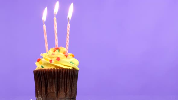 Tasty Birthday Cupcake with Three Candle, on Purple Background
