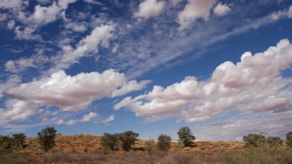 Cloudscape Time Lapse - Kalahari Desert