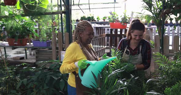 Multiracial women working inside greenhouse while watering flowers and plants