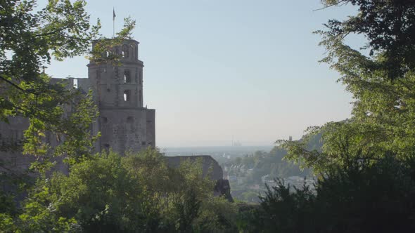 Castle of Heidelberg with Trees in Foreground