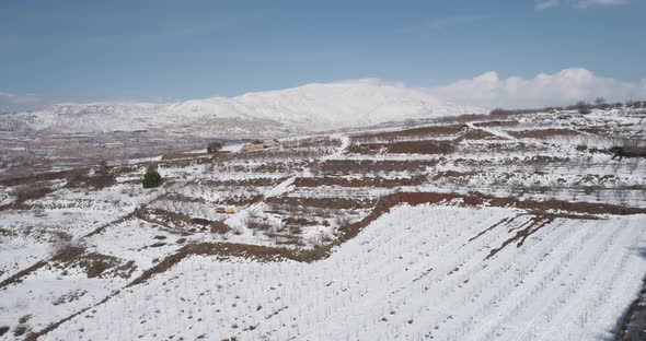 Aerial view of a dry vineyard in the snow, Golan Heights, Israel.