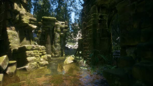 Stone Ruins in a Forest, Abandoned Ancient Castle