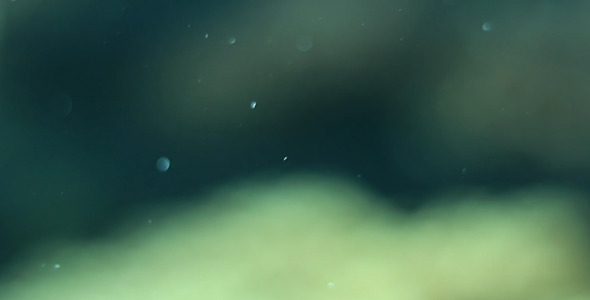Underwater World Dynamic Background