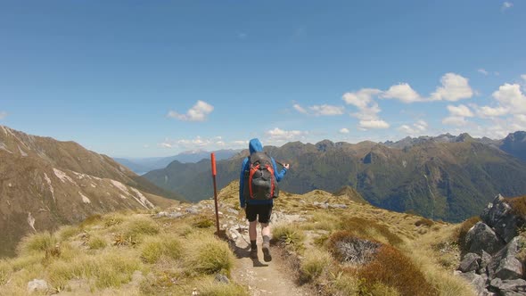 Follow, playful hiker descends exposed alpine ridge, Fiordland, Kepler Track New Zealand