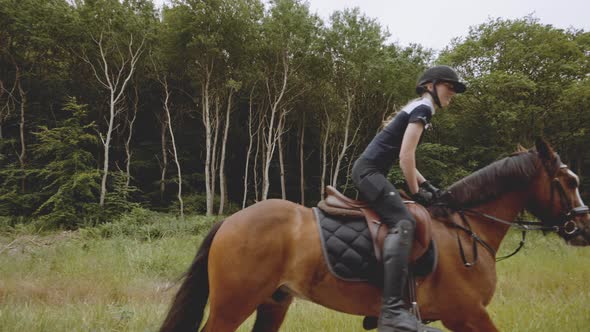 Equestrian Mounted in a Brown Horse By the Forest and Bright Sky Horizon