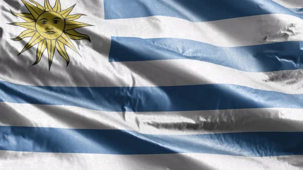 Uruguay textile flag waving on the wind. Slow motion. 20 seconds loop. 