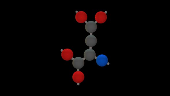L-aspardic acid - Amino acid model