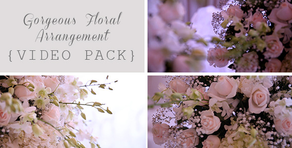 Gorgeous Floral Arrangement (3-Pack)