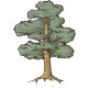 Oak Tree Sketch - GraphicRiver Item for Sale