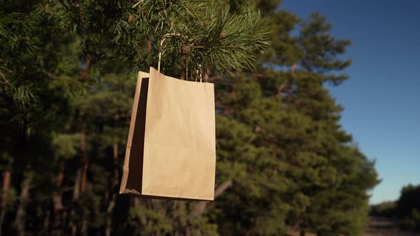 Paper bag for shopping or delivery on tree brunch