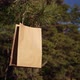 Paper bag for shopping or delivery on tree brunch - VideoHive Item for Sale