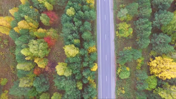 Aerial View of a Highway in an Autumnal Forest From a Drone